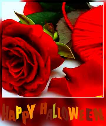FX №205314 Heart with flower happy halloween card