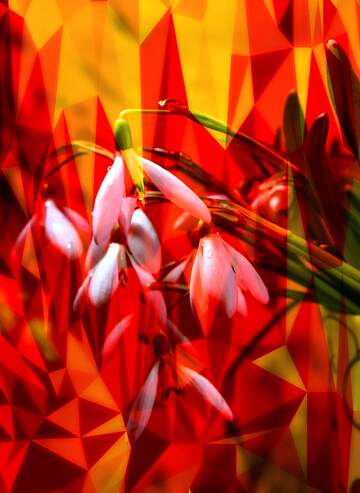 FX №205665 Flowers for sweetheart red Polygonal abstract geometrical background with triangles