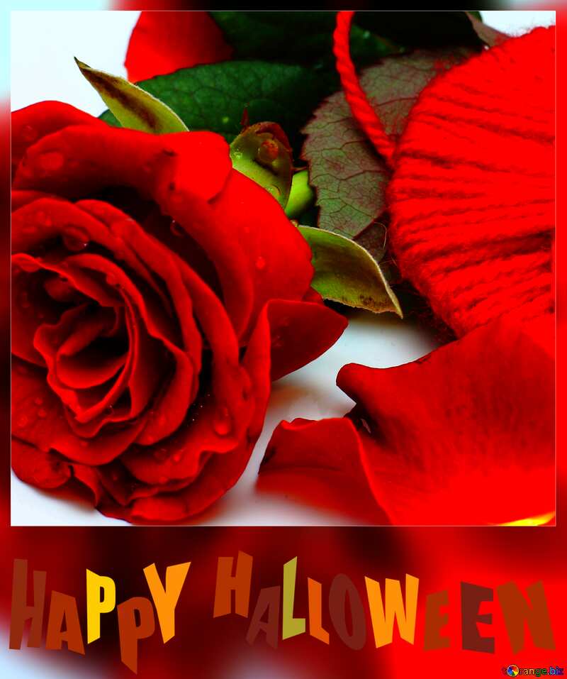 Heart with flower happy halloween card №16856