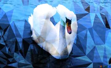 FX №206494 White Swan wings heart blue Polygonal abstract geometrical background with triangles