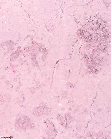 FX №206695 Light pink marble texture