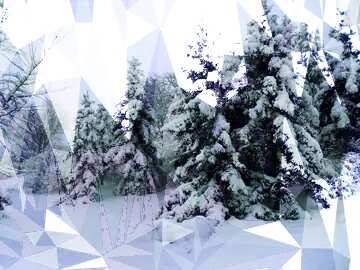 FX №206560 Tree  in the  snow  polygonal background