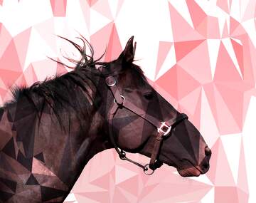 FX №206054 Horse`s head dark  polygonal triangles background