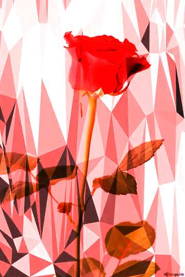FX №206778 Rose background for card polygonal gray