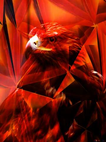 FX №206705 Golden eagle red polygonal texture