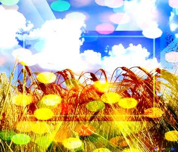 FX №206690 Agribusiness  bokeh business design grain fields template