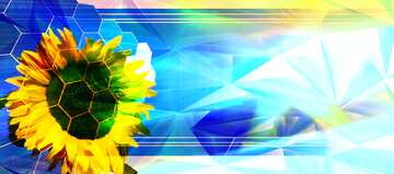 FX №206694 Agribusiness  Sunflower Tech business concept information image polygonal