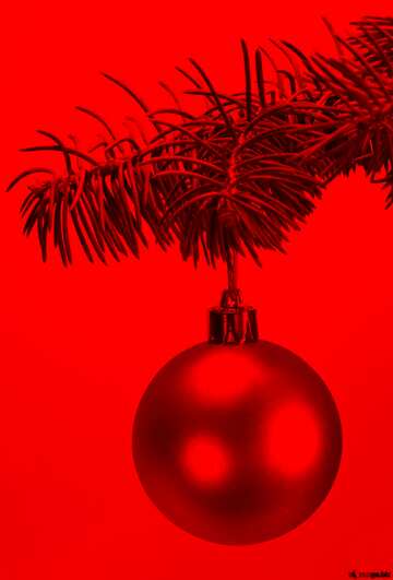 FX №206981 Toys  , Christmas tree ball on ,  branch. red background