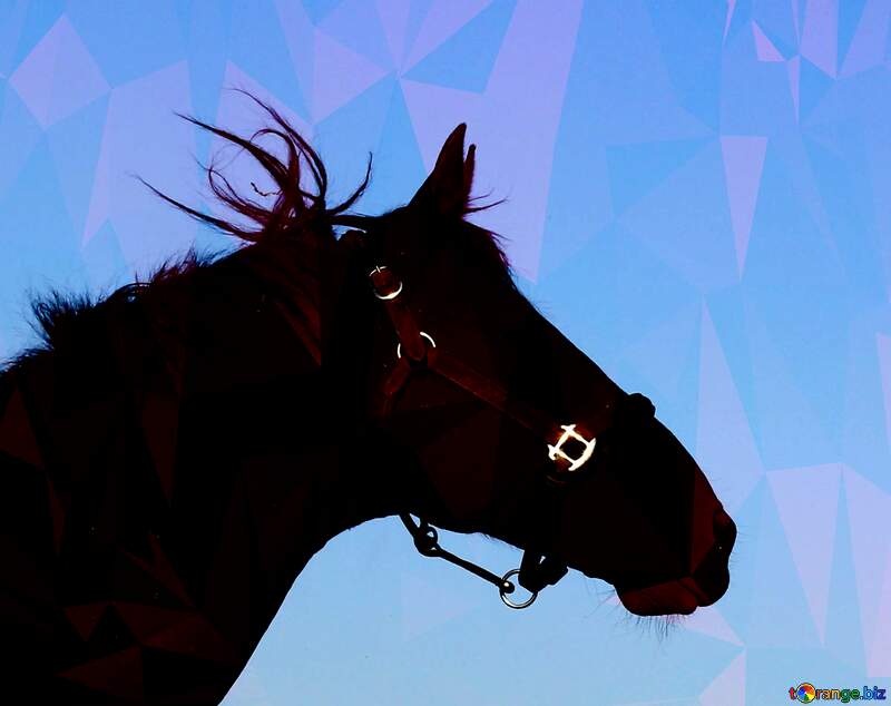 Horse`s head red  polygonal  picture background №36614