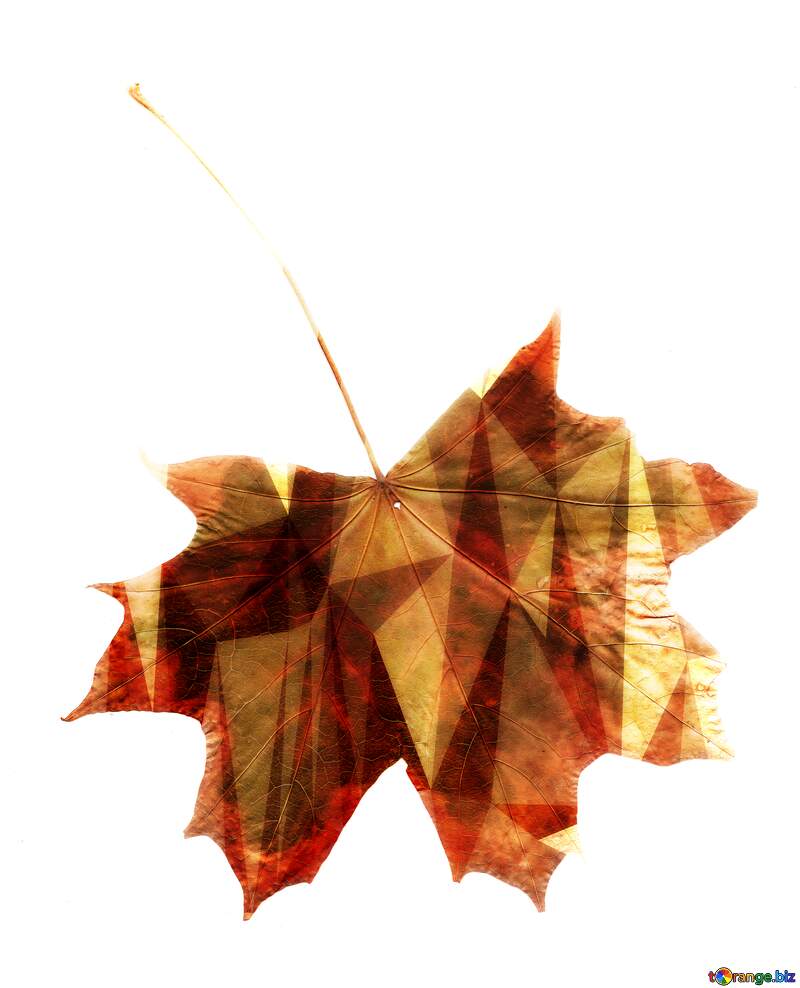 Dry leaf texture polygonal red №42663