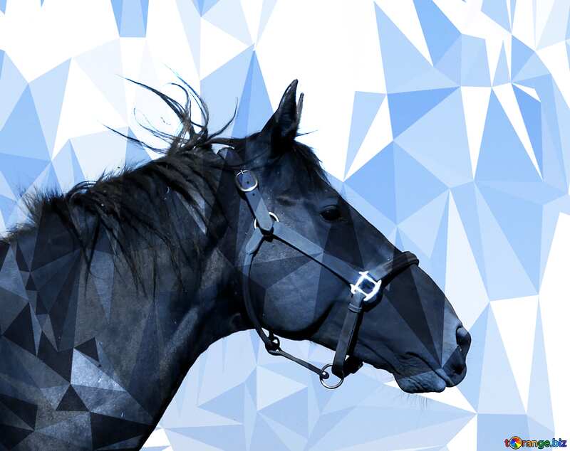 Horse`s head polygonal sky  background №36614