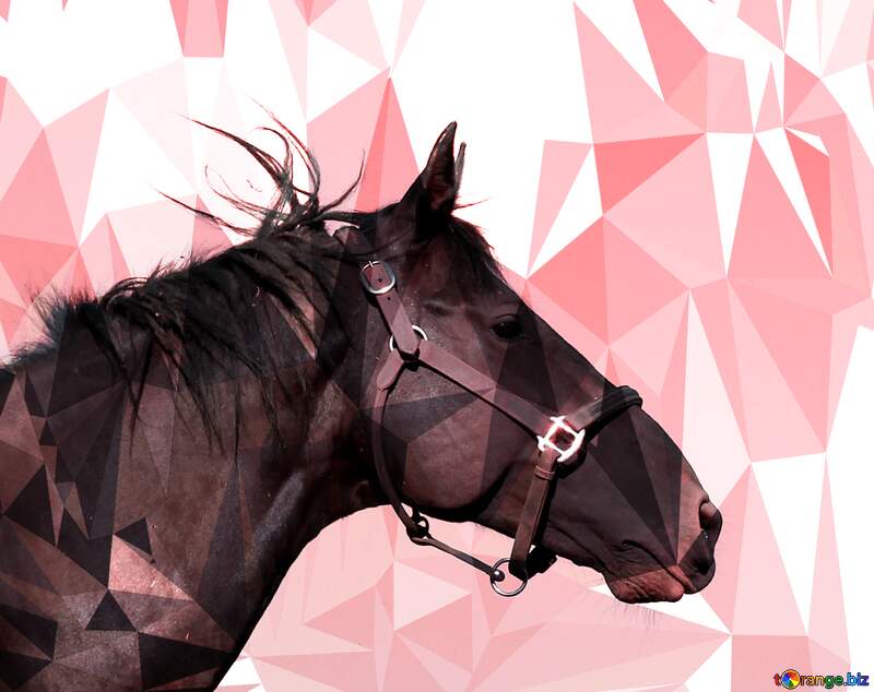 Horse`s head dark  polygonal triangles background №36614