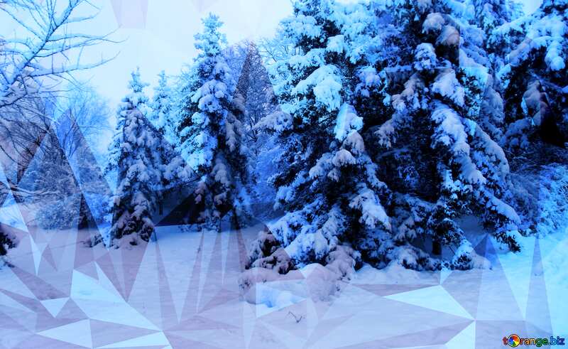Winter forest Tree  in the  snow  Polygonal background №10542