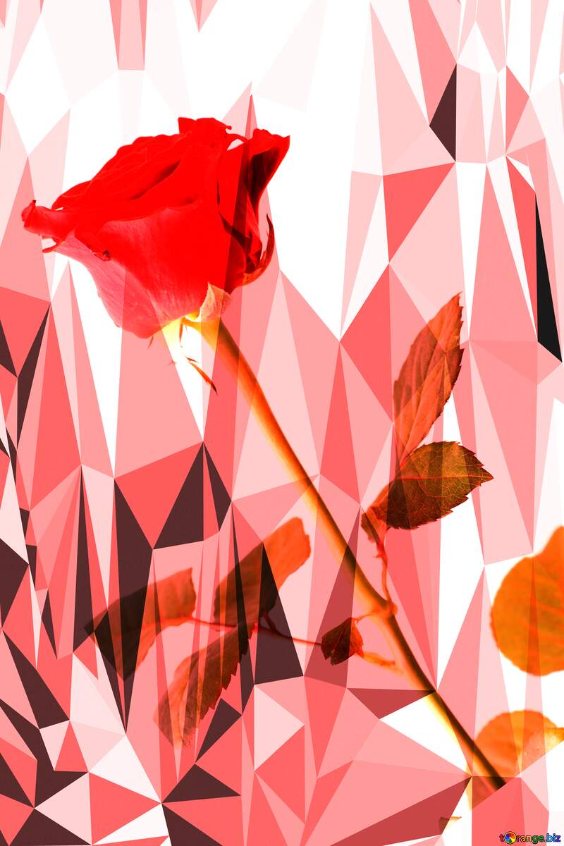 Rose polygonal background for card №17058