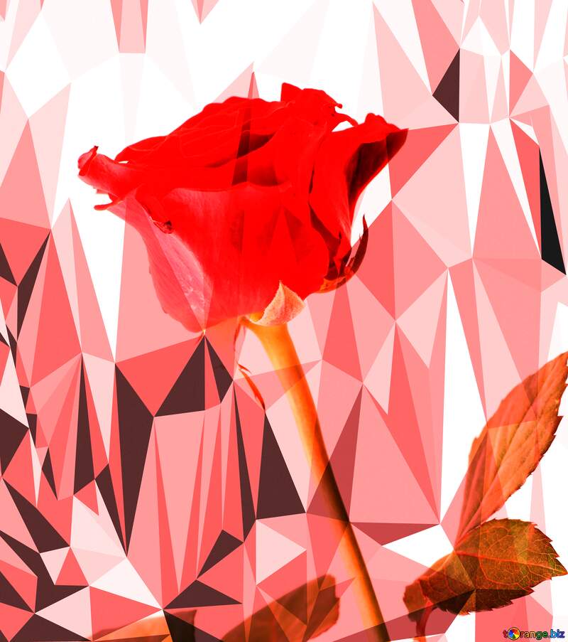 Rose flower red  polygonal background for card №17058