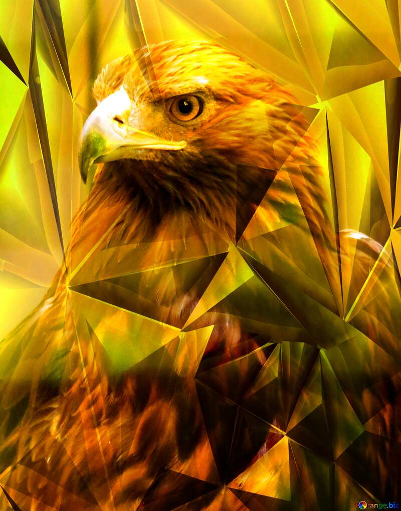 Golden eagle Polygonal background №45228