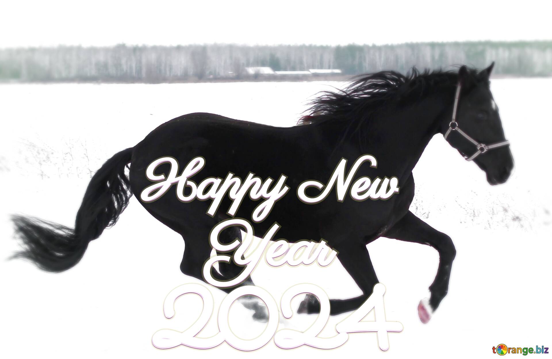 Horse in the snow happy new year 2024 №207376