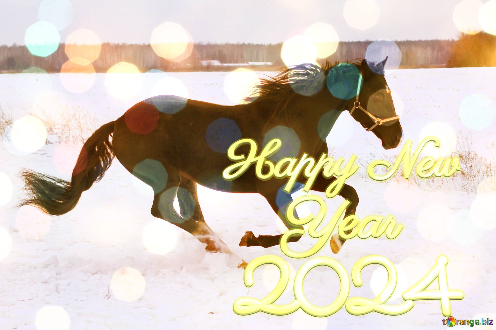 Horse in the snow happy new year 2024 №207357