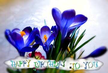 FX №207570 Blue Scilla  floral happy birthday card