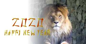 FX №207478 A lion happy new year 2020