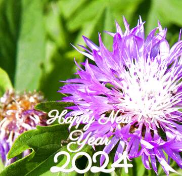 FX №207340 Cornflower  happy new year 2024