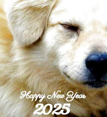 FX №207392 happy new year 2024 dog