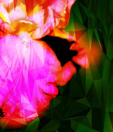 FX №207241 Beautiful flower polygon background