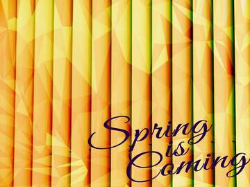FX №207117 blinds texture different thickness lines spring coming triangles polygon background