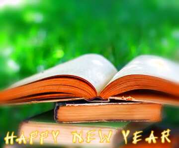 FX №207375 Reading books happy new year