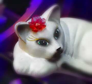 FX №207965 White cat blur frame card