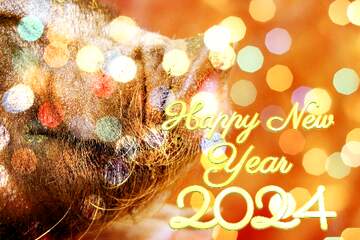 FX №207353 Happy new year 2024 pig