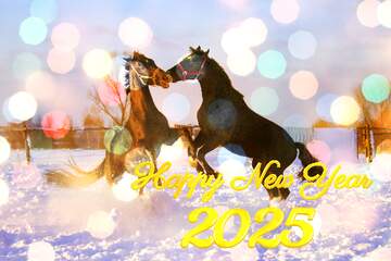 FX №207406 Horses Fight in the snow happy  new year 2025 background