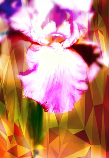 FX №207237 Beautiful flower polygonal