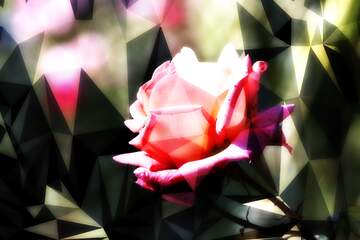 FX №207876 Pink rose techno color polygonal background