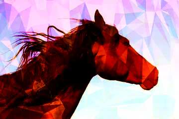 FX №207232 Black Horse portrait polygonal triangles hot