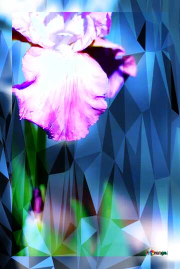 FX №207239 Beautiful flower fuzzy border polygonal background blue