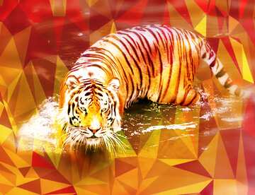 FX №207229 Water tiger polygonal background