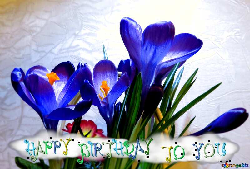 Blue Scilla  floral happy birthday card №21262