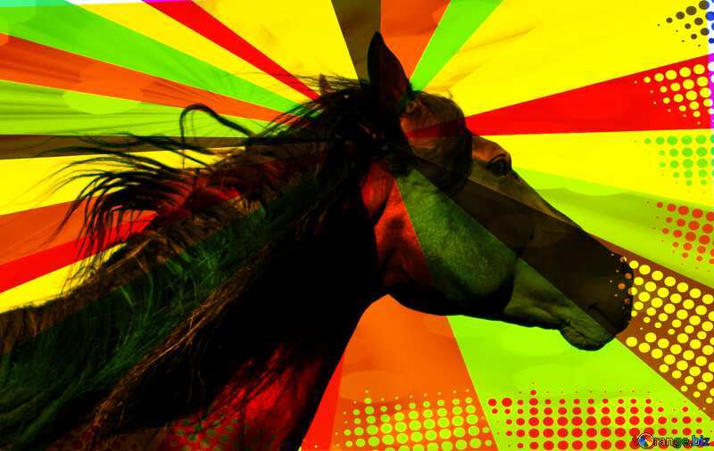 Black Horse portrait colors rays №36657