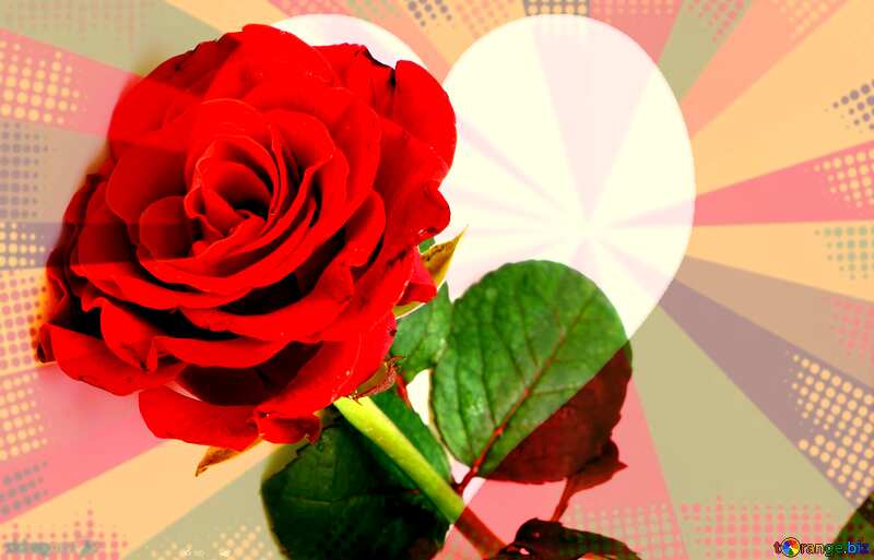 Red beautiful rose rays and heart colors №16891