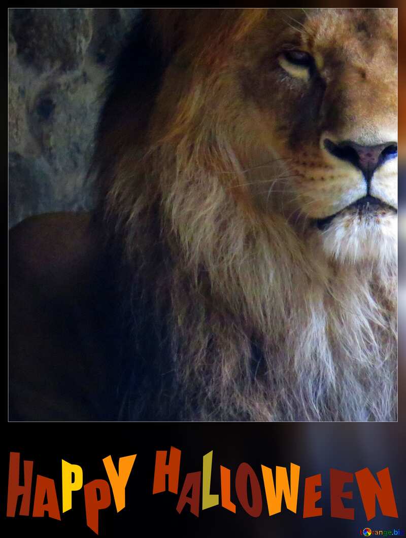 Descargar foto gratis A lion happy halloween en CC-BY Licencia ~ Stock de imágenes gratis 