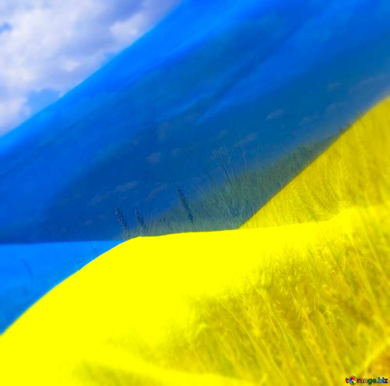 Flag Ukraine №33620
