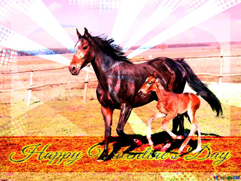 Horse Greeting happy valentines day №6182