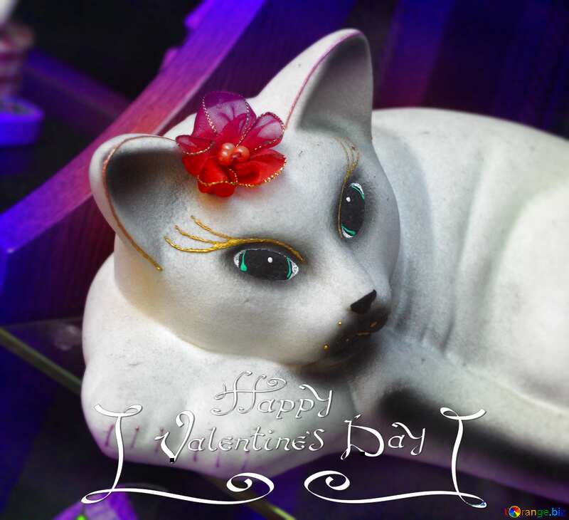 White cat happy Valentines day №51665