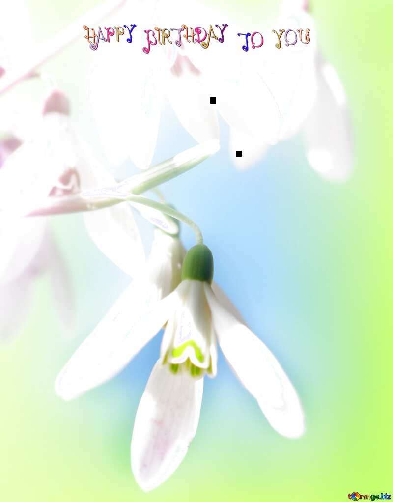 spring flower happy birthday  card №38344