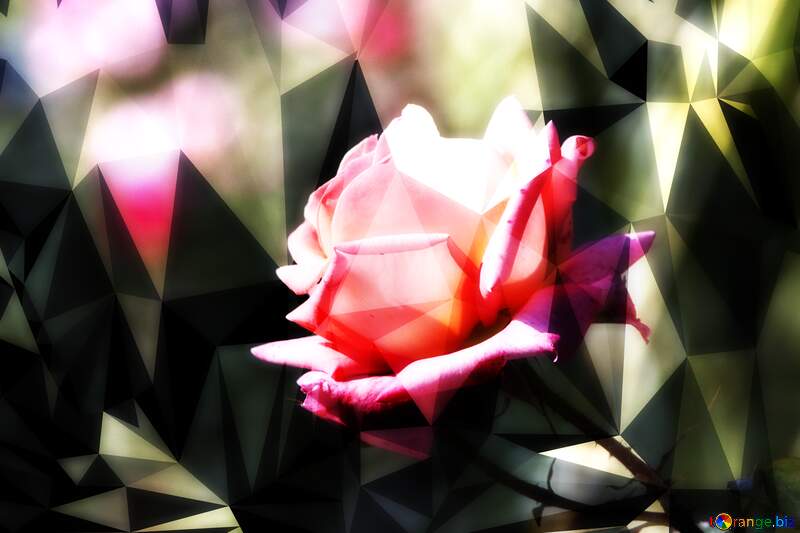 Pink rose techno color polygonal background №4210