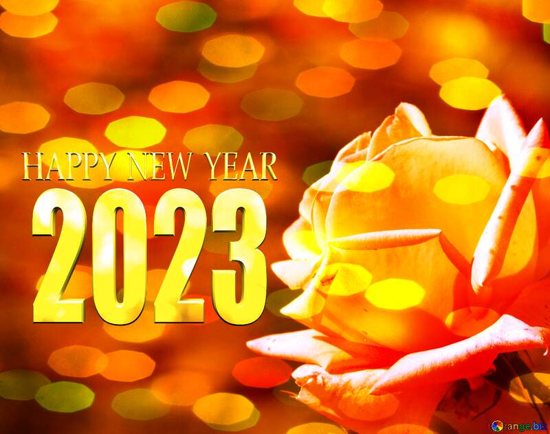 Pink rose happy new year 2023 №4210