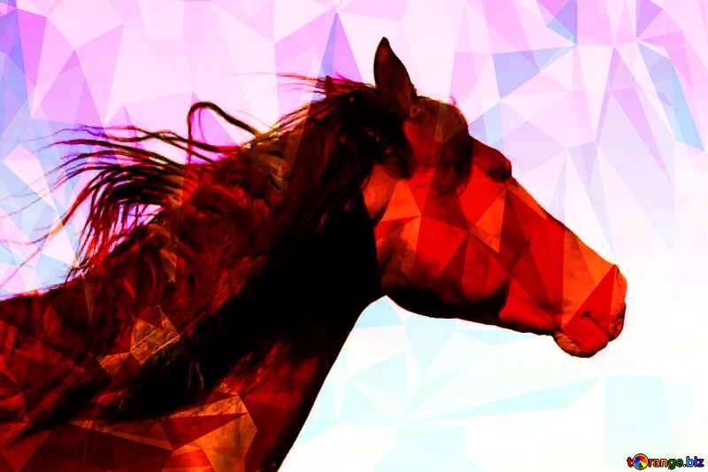 Black Horse portrait polygonal triangles hot №36657