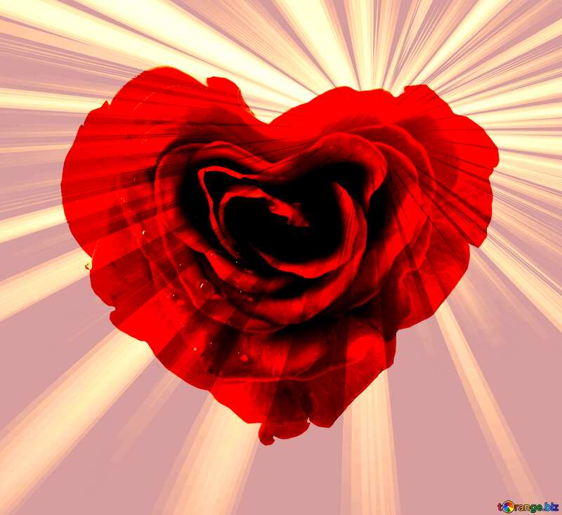 Rose heart sunlight rays retro style №17029