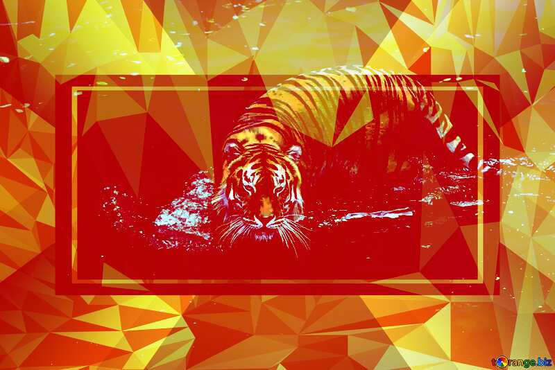 Water tiger Polygon infographic design template №45724
